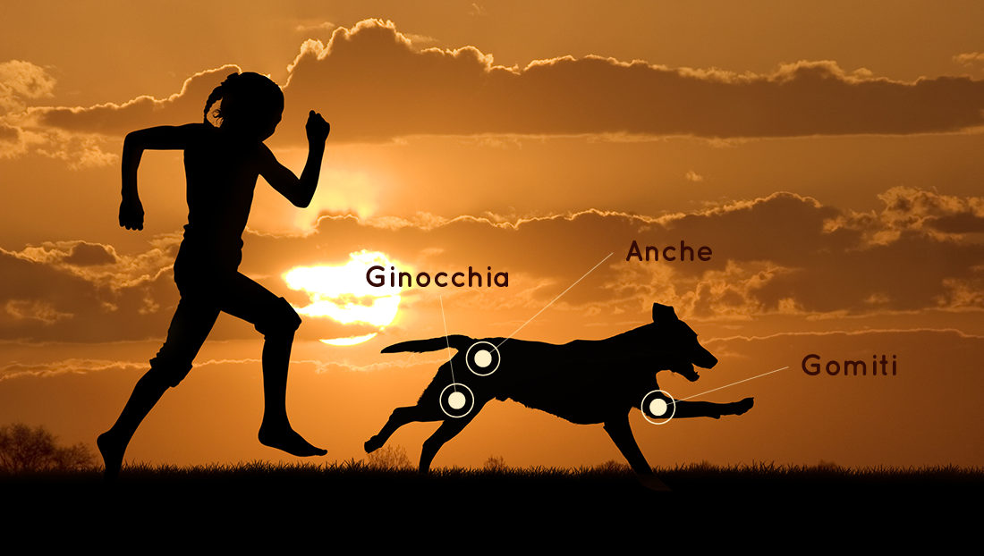 Articolazioni colpite da artrosi.